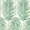 Paradise Palm Wallpaper Sample - Greenery