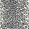 Iconic Leopard Wallpaper - Graphite