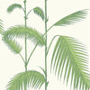 Palm Leaves Wallpaper - Green/White