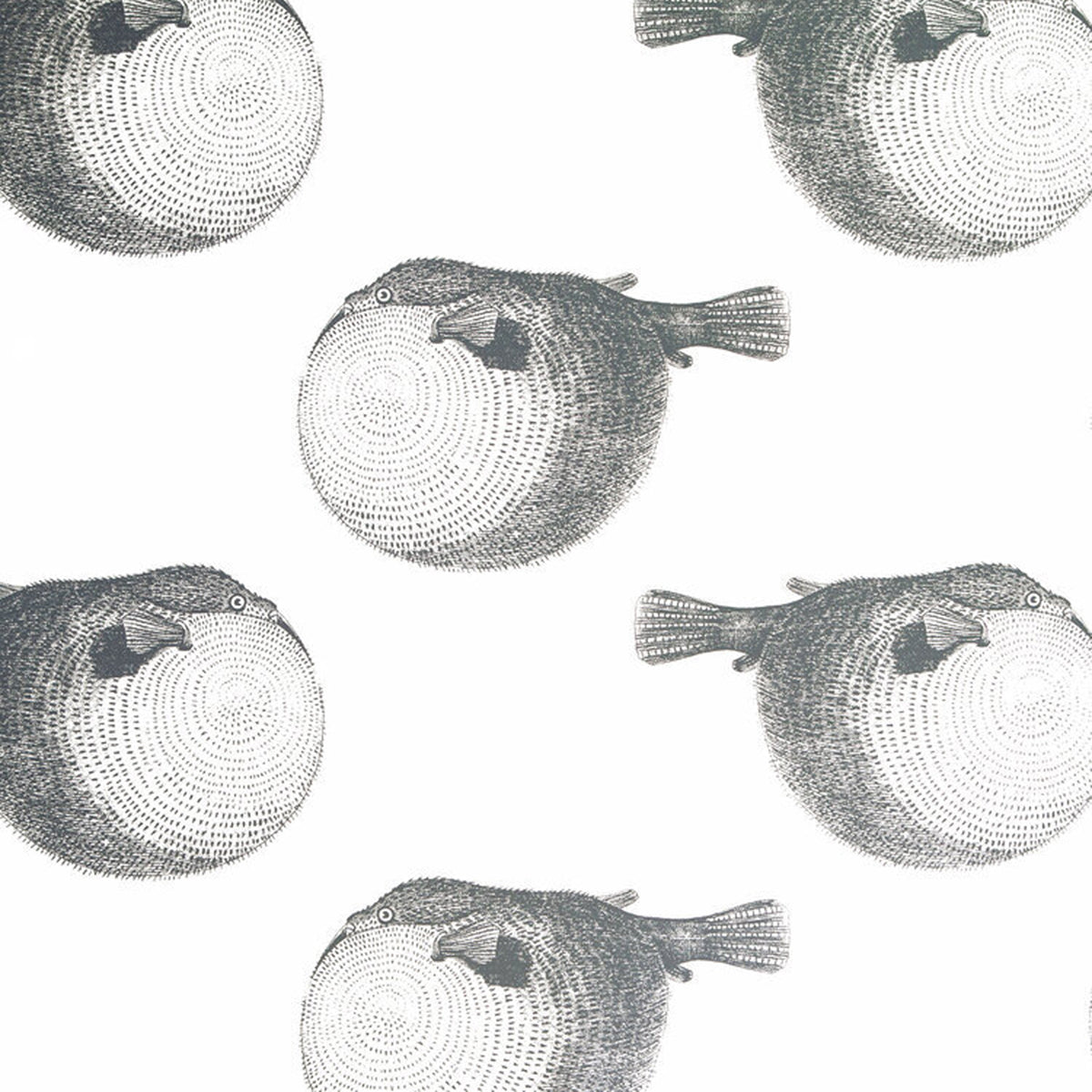 Mr. Blow- Great White Wallpaper