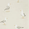 Shore Birds Wallpaper Sample - Driftwood