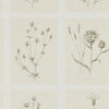 Little Thistles Wallpaper - Ecru