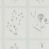 Little Thistles Wallpaper - Pewter