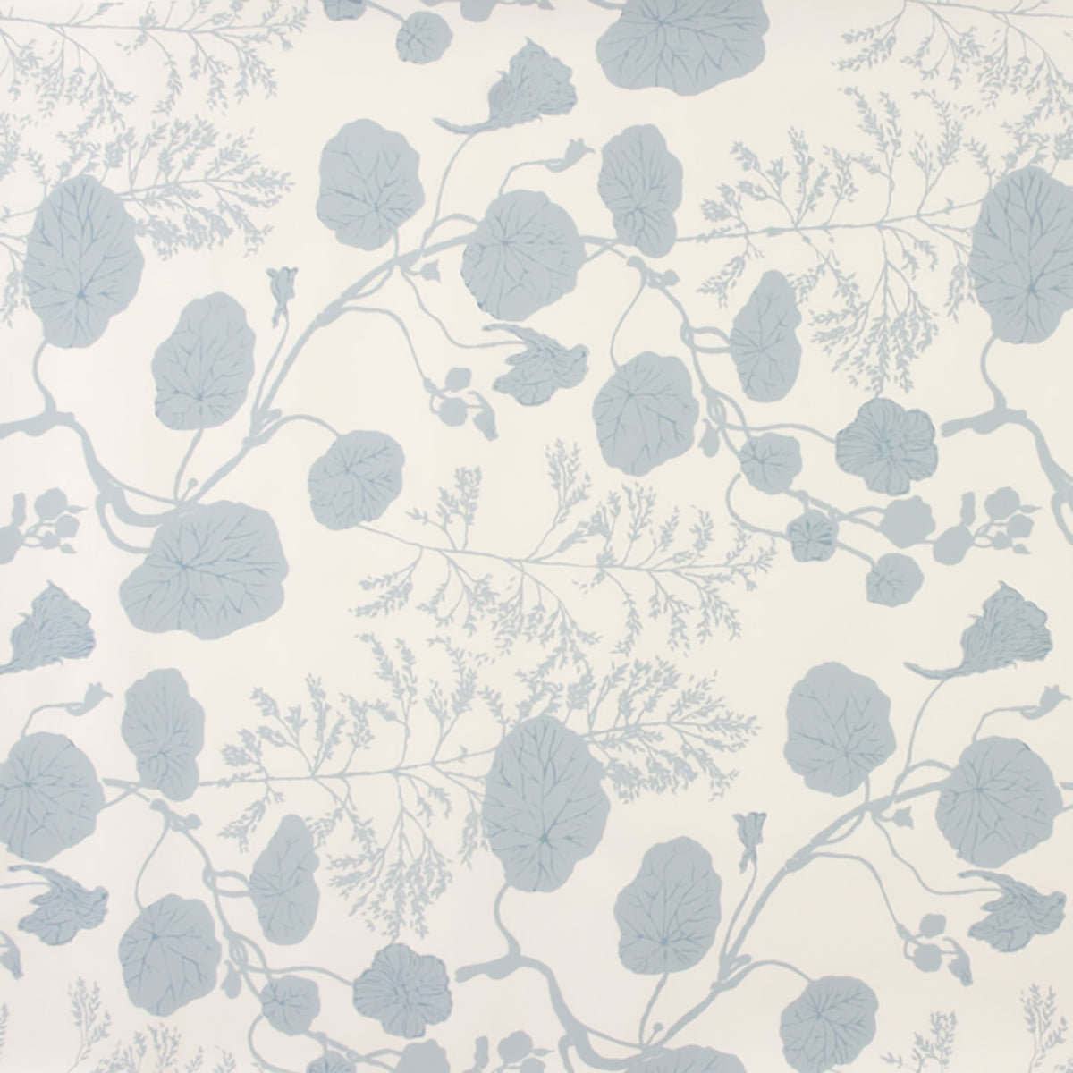 Castilia- Wedgewood Blue Wallpaper