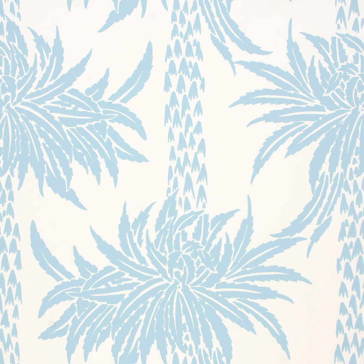 Sporting D'ete- Aqua Wallpaper