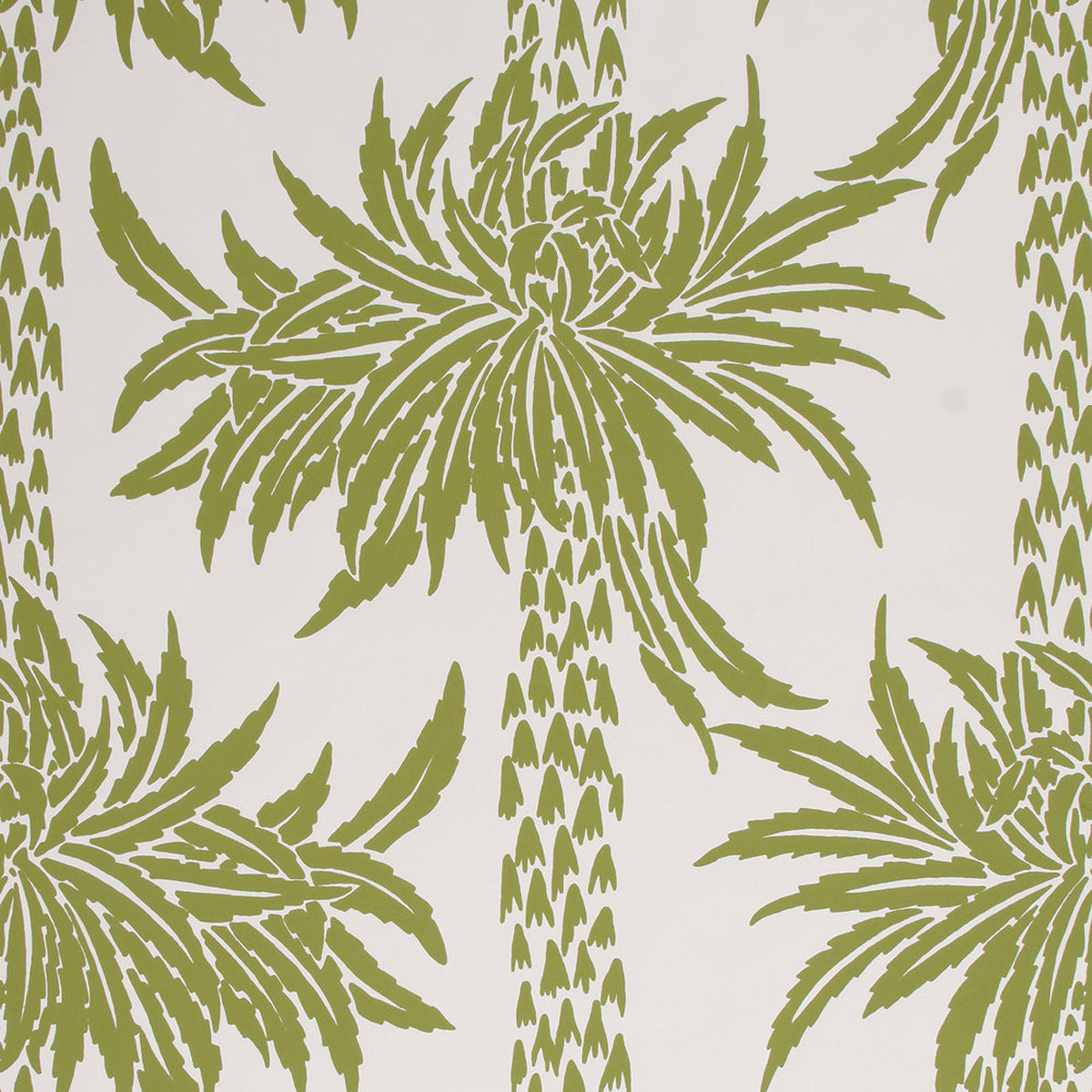 Sporting D'Ete- Snowpea on Snow Wallpaper