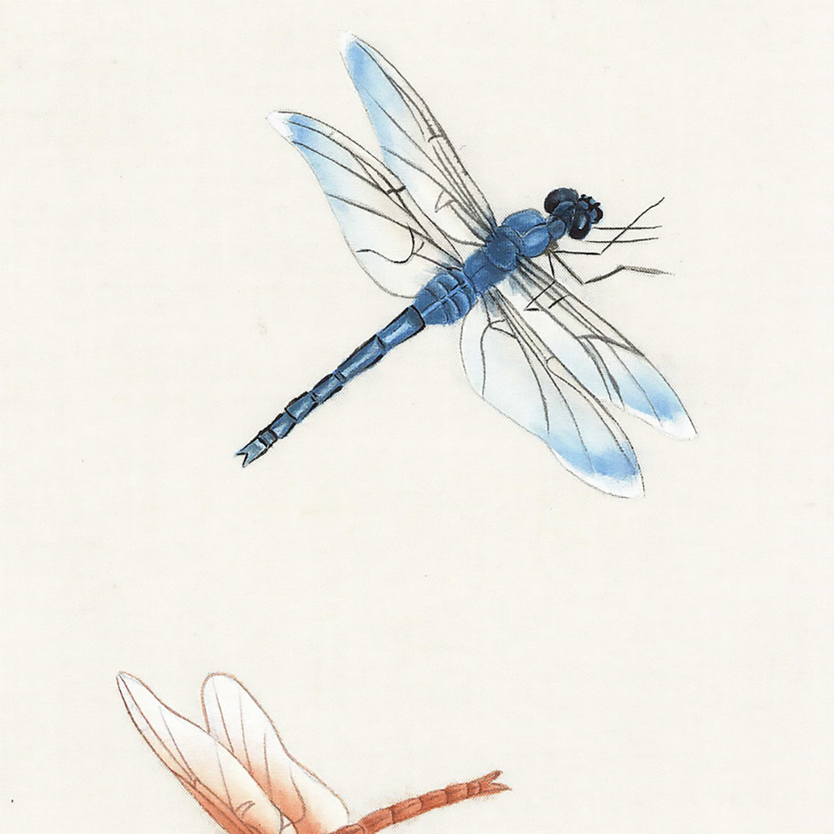The Mural Source Dragonflies