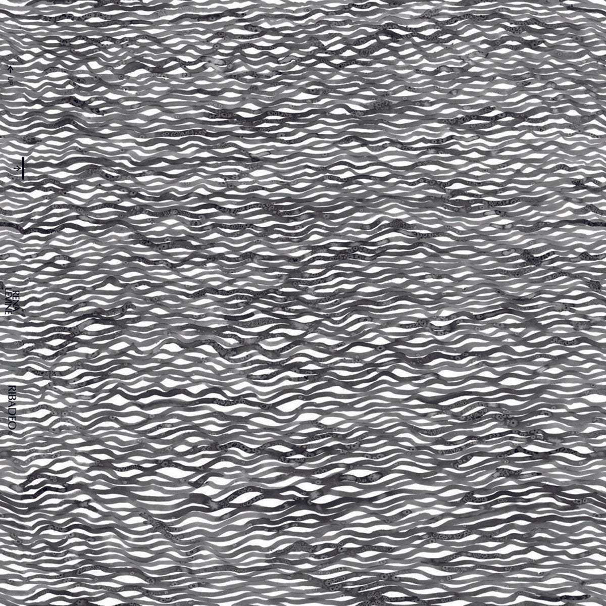 Ribadeo- Charcoal Wallpaper