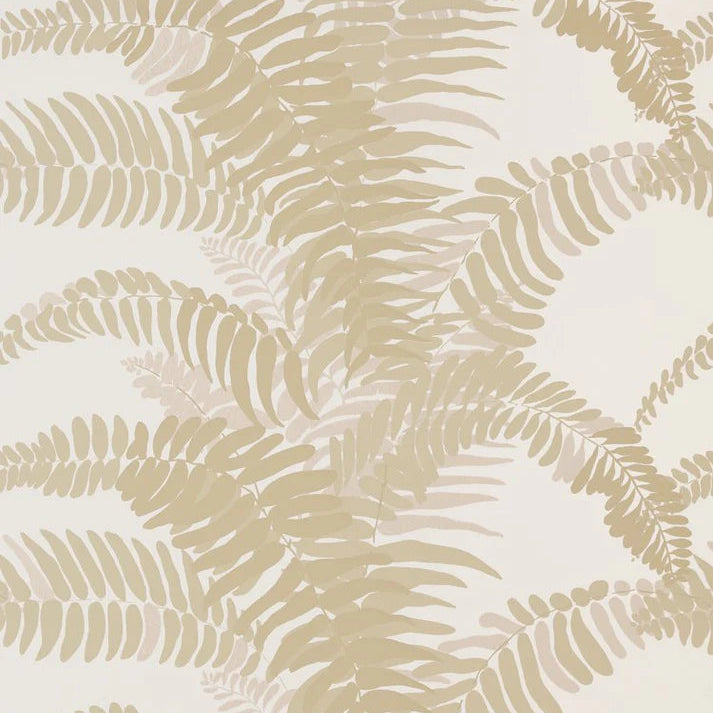 Ferns Wallpaper Sample