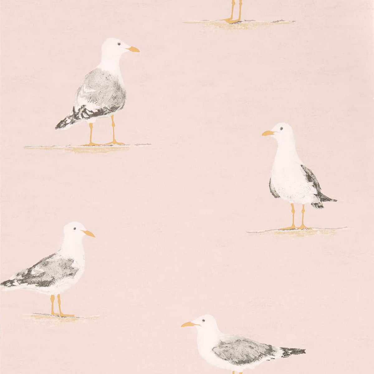 Shore Birds- Blush Wallpaper