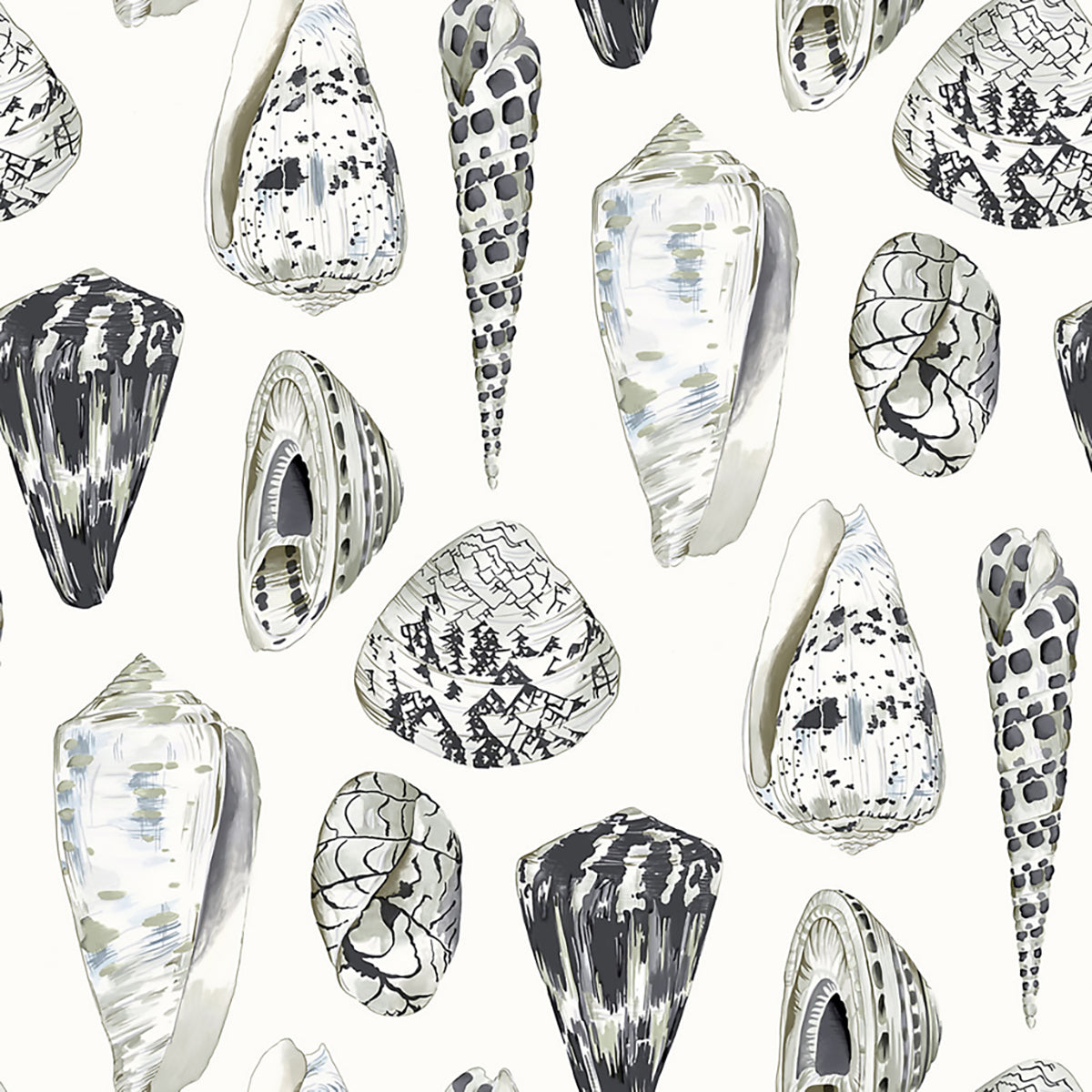Coquina- Graphite Wallpaper