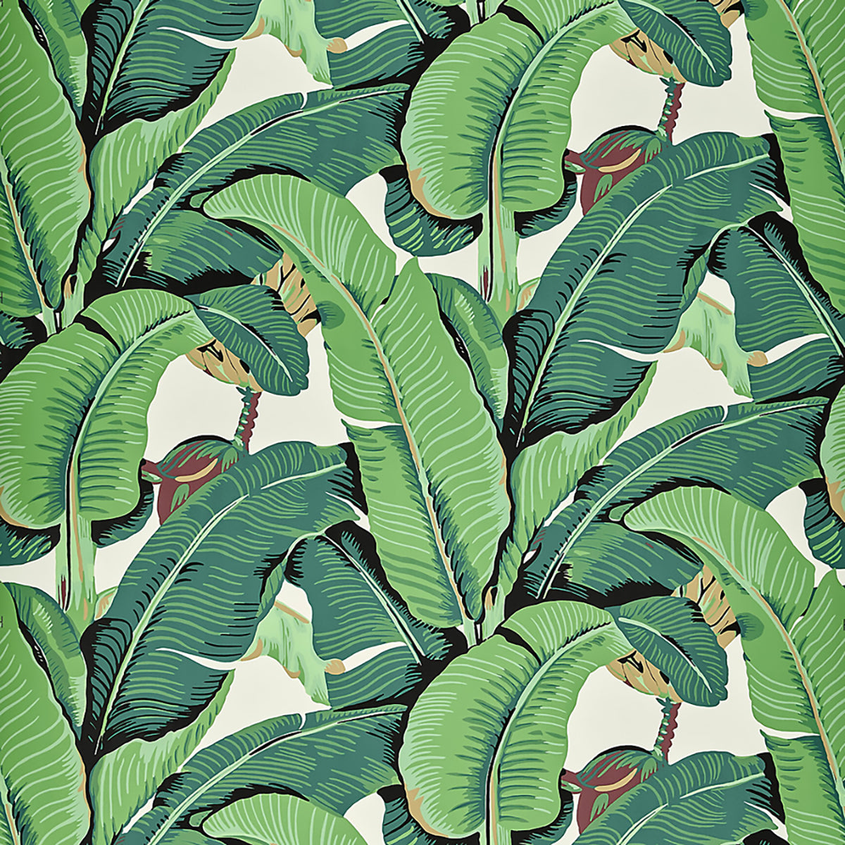 Brazilian Palm- Green Wallpaper