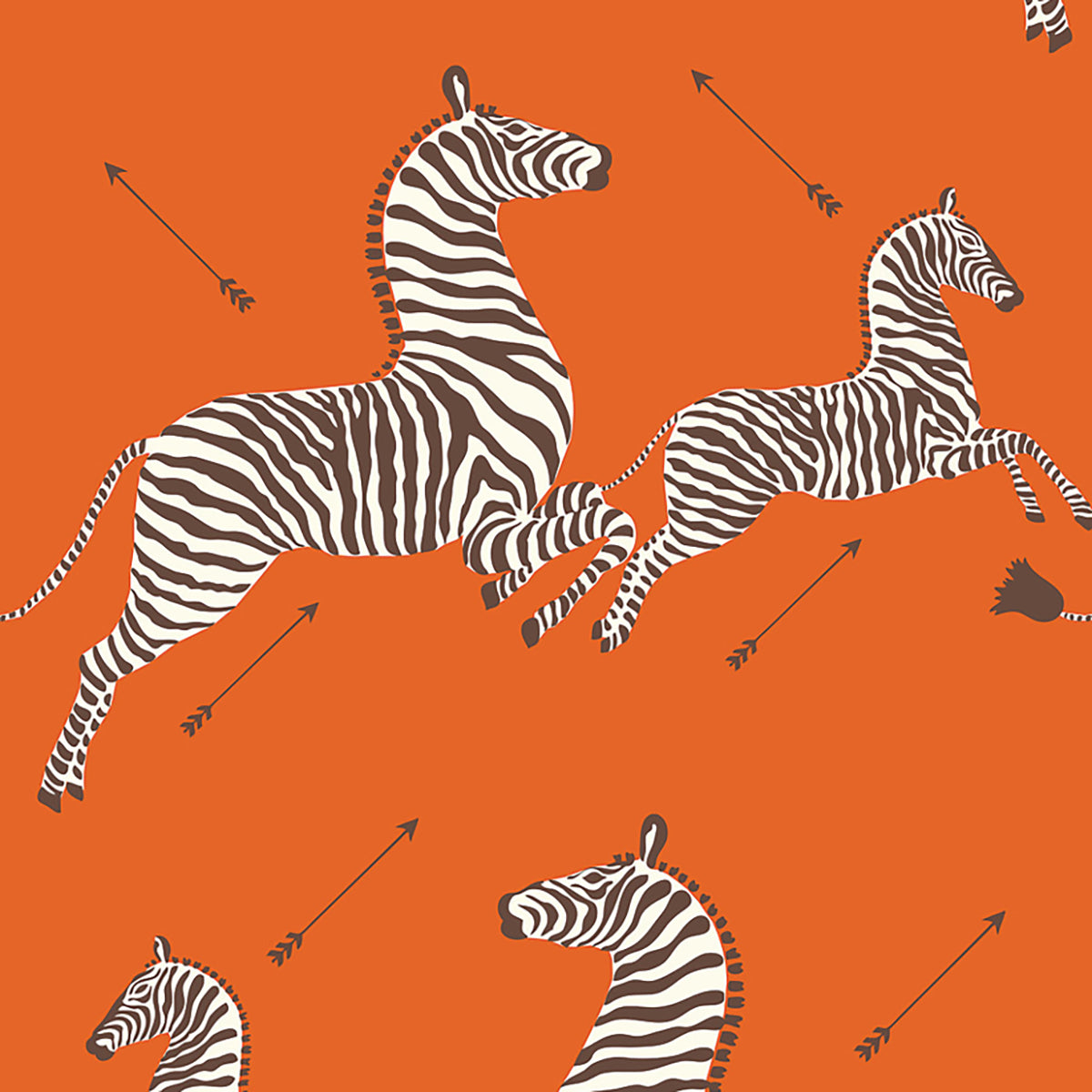 Zebras- Orange Wallpaper