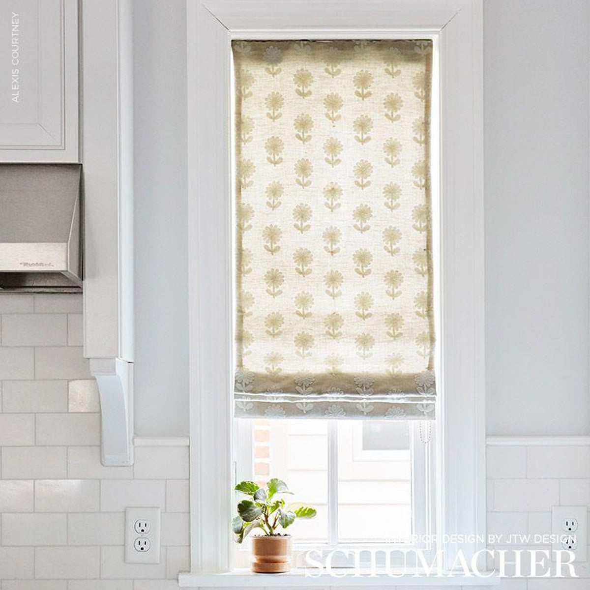 Schumacher Paley Embroidery 73482