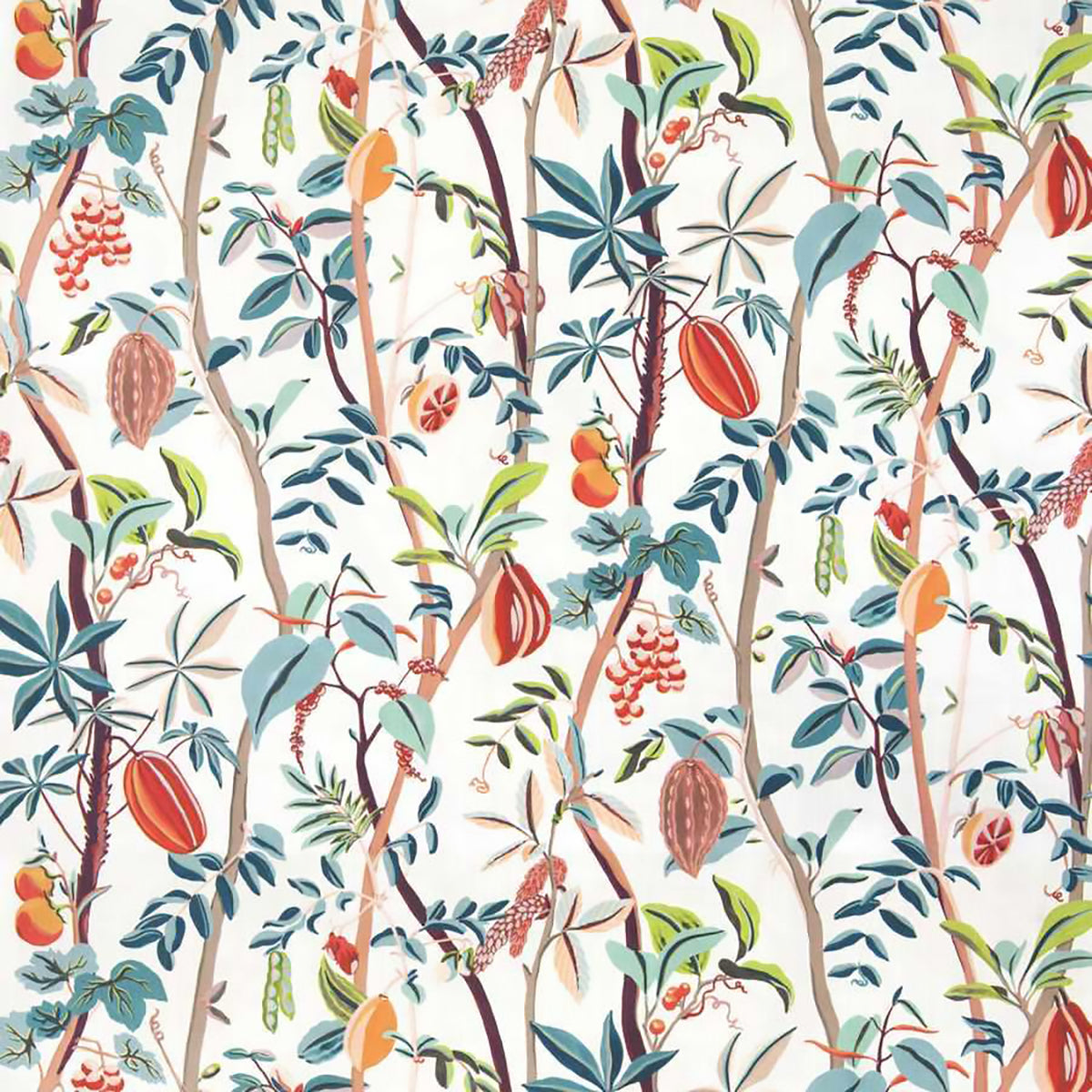 Stroheim OD Lealani Starfish 1957302