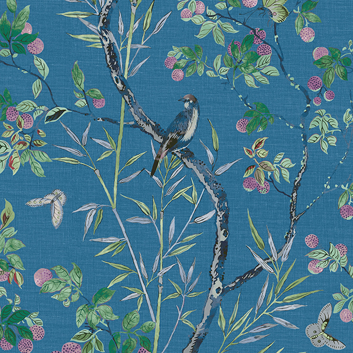 Thibaut Claire Navy T42008