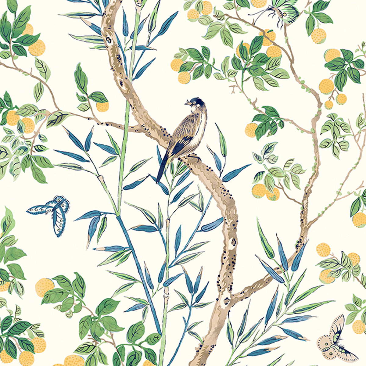 Thibaut Claire T42013 Yellow