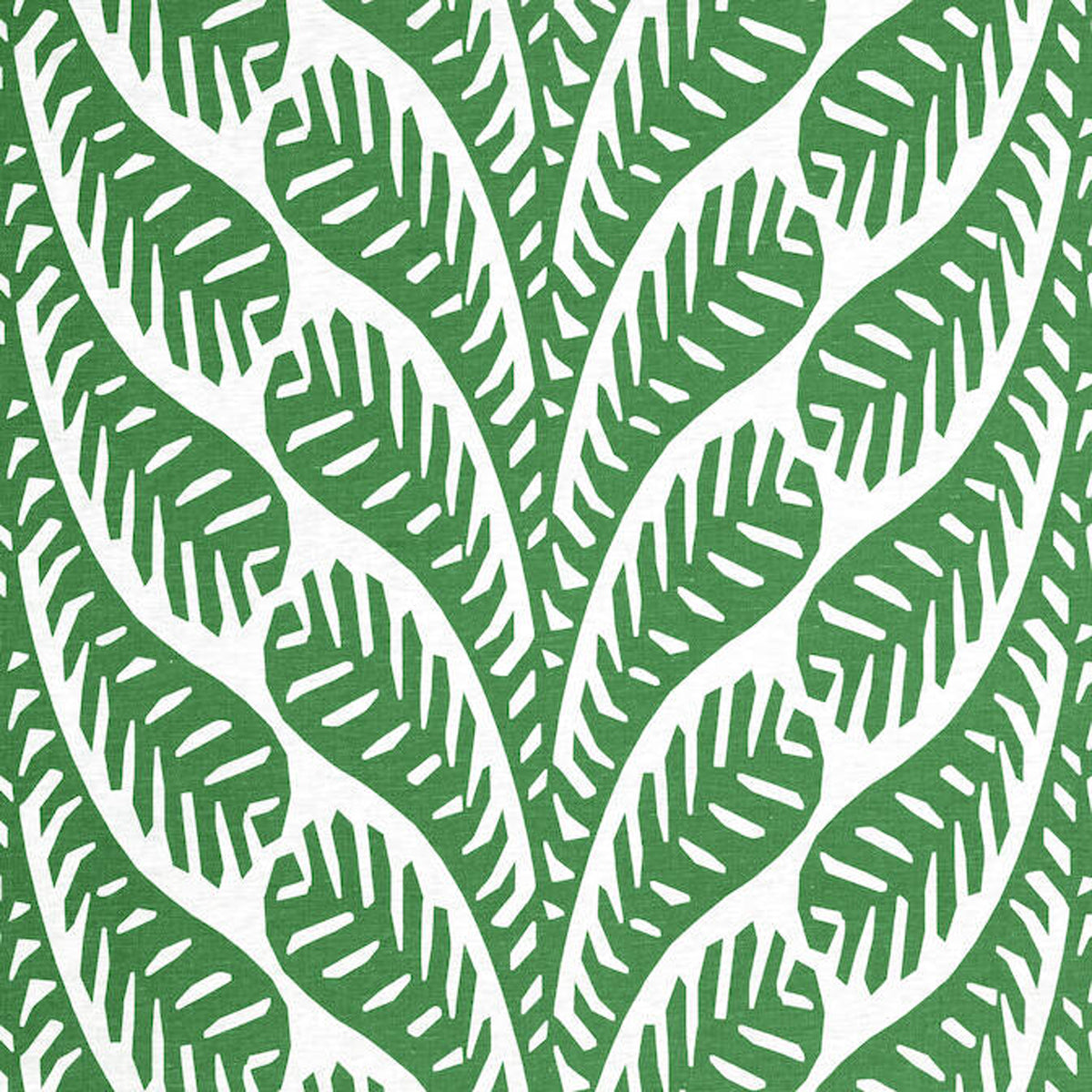 Thibault Ginger F920832