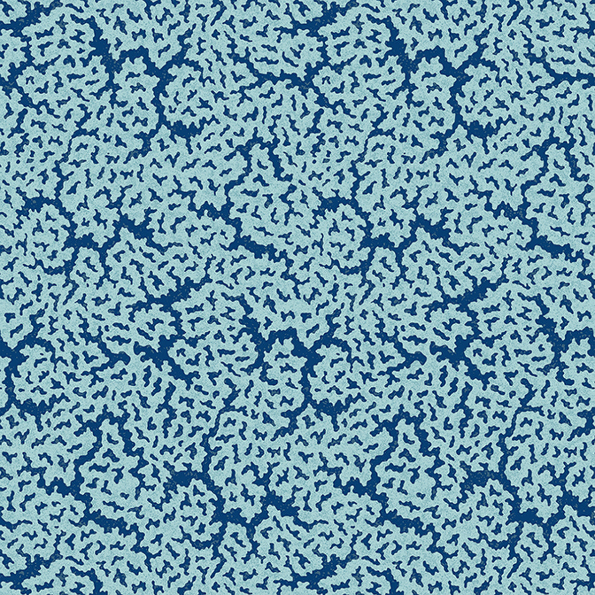 Thibaut Maldives T42040 Navy