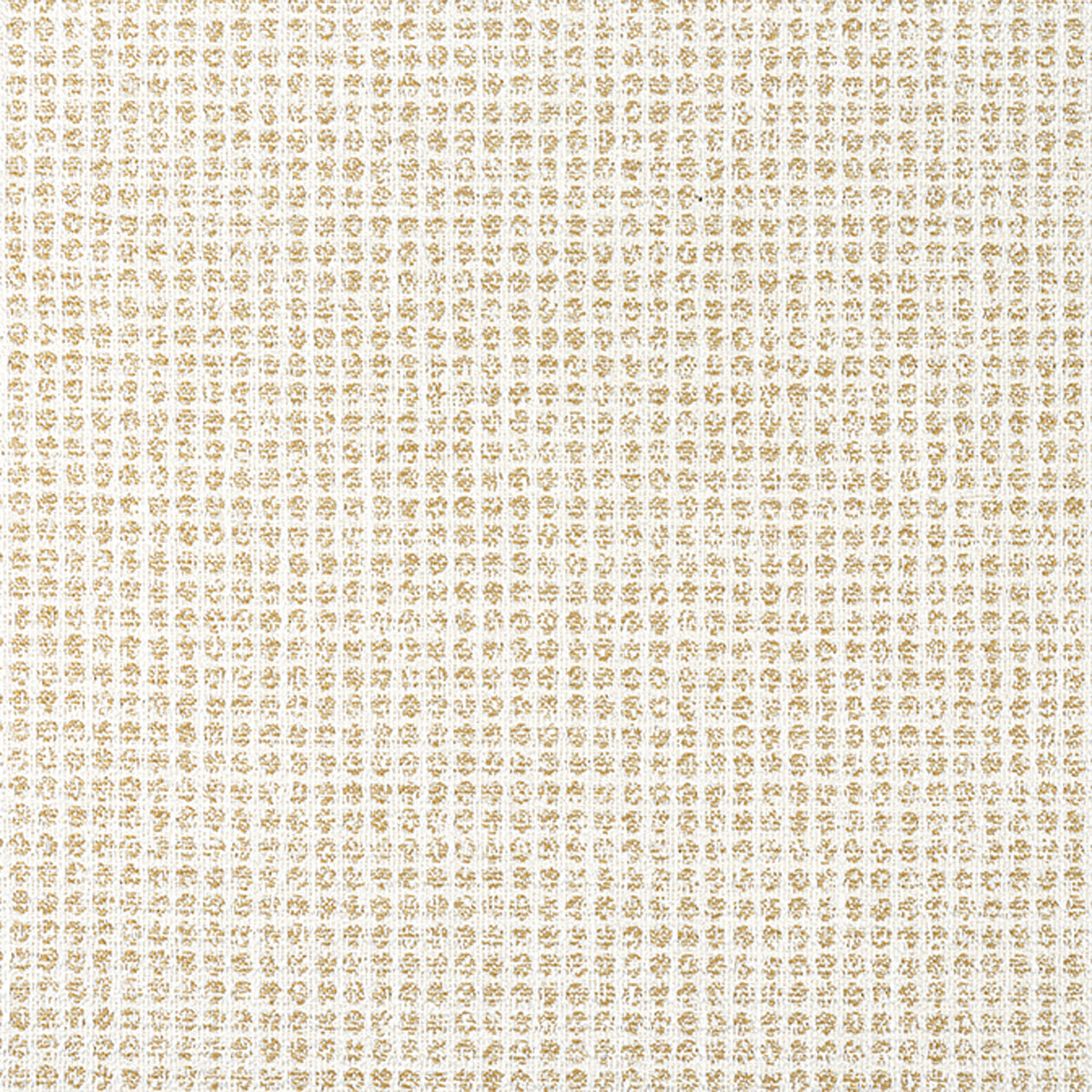 Thibaut Remy Dot W8701