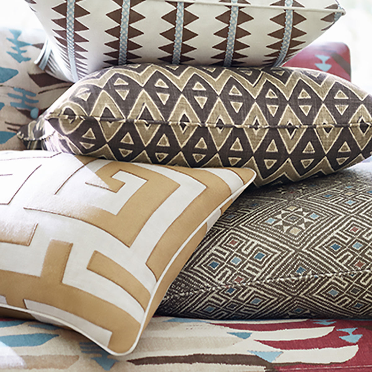 Thibaut Tiburon F81673