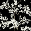 Silhouette Blooms Wallpaper Sample - Black