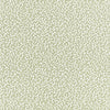 Junie Wallpaper Sample - Aloe