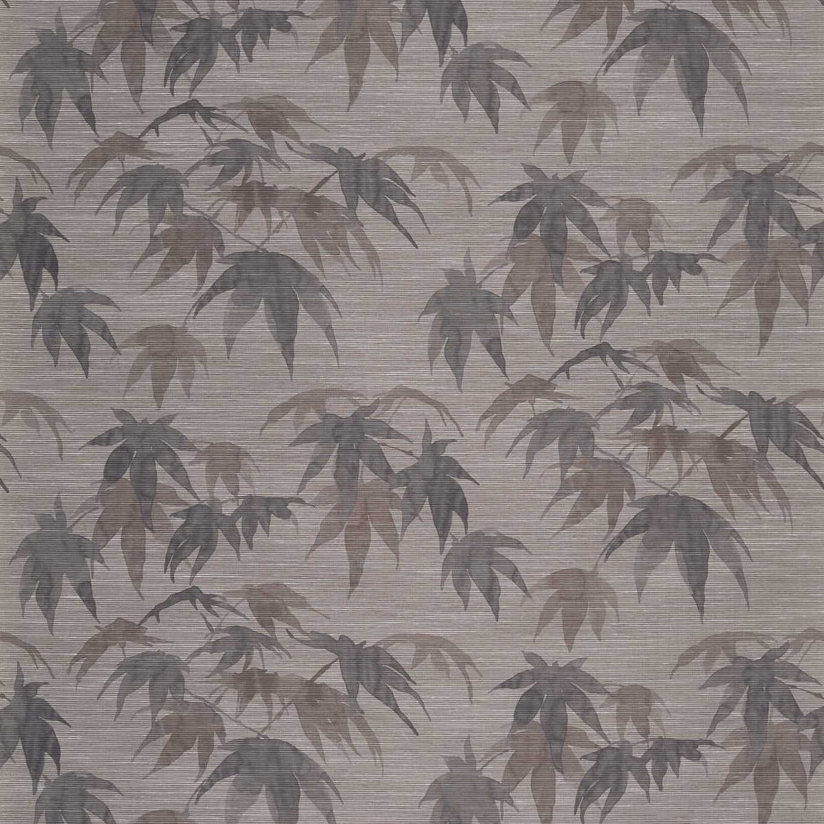 Zoffany Acer ZAKA312495