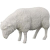 Sheep Sculpture - White