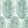 Paradise Palm Wallpaper Sample - Tropic Green