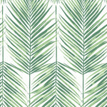 Pattern of green palm leaves on a white background