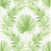 Calla Painted Palm Wallpaper - Green