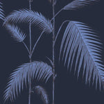 Blue palm leaf pattern on a dark blue background