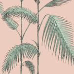 Palm leaf design on a pink background