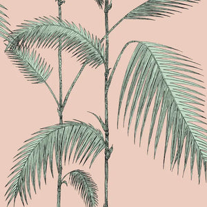 Palm leaf design on a pink background