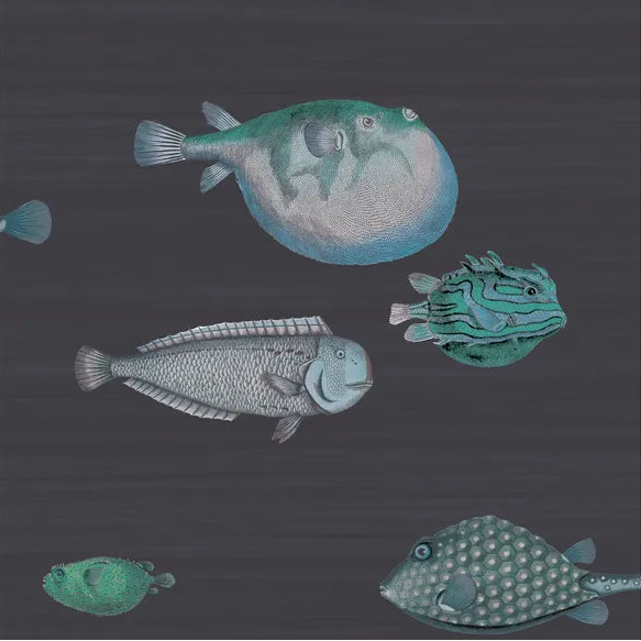 Pattern of stylized fish on a dark background