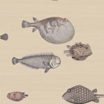 Illustrations of various fish on a beige background
