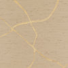 Lustrous Lines Wallpaper Sample - Sandstone Curves