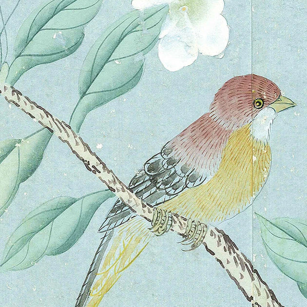 Vintage-style bird illustration of a small bird perched on a branch with green leaves and white flowers against a pale blue background.