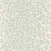 Iconic Leopard Wallpaper - Cloud