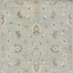 A rectangle area rug with a traditional floral and medallion pattern in muted light blue, beige, and gray tones.