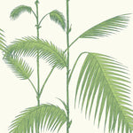 Green palm leaf design on a white background
