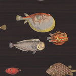 Illustrations of various fish on a dark background