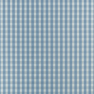Payton Check Fabric