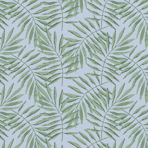 Kenna Fabric