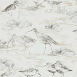 Pattern of birds and shells on a textured beige background