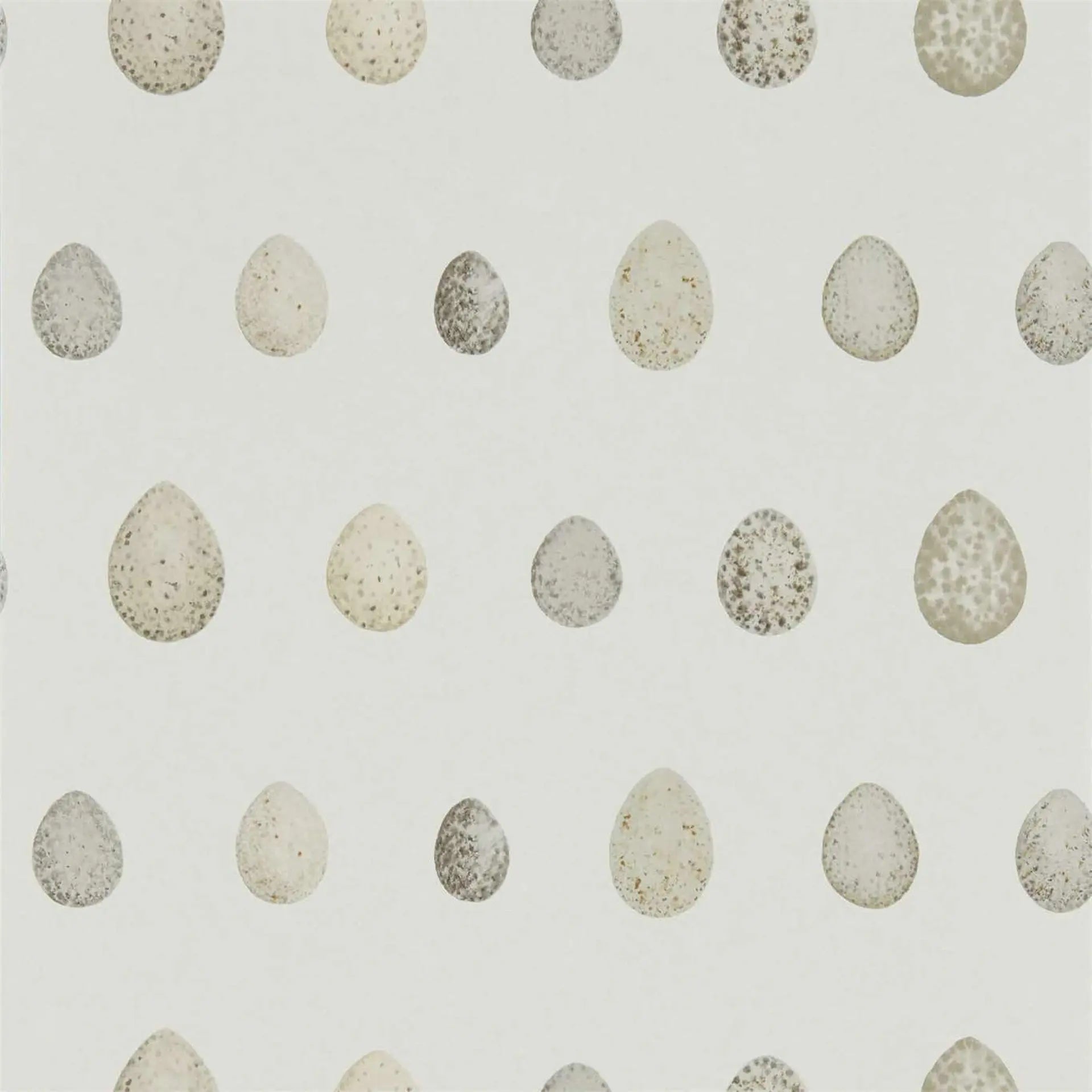 Pattern of speckled eggs on a light background