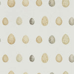 Pattern of speckled eggs on a light background