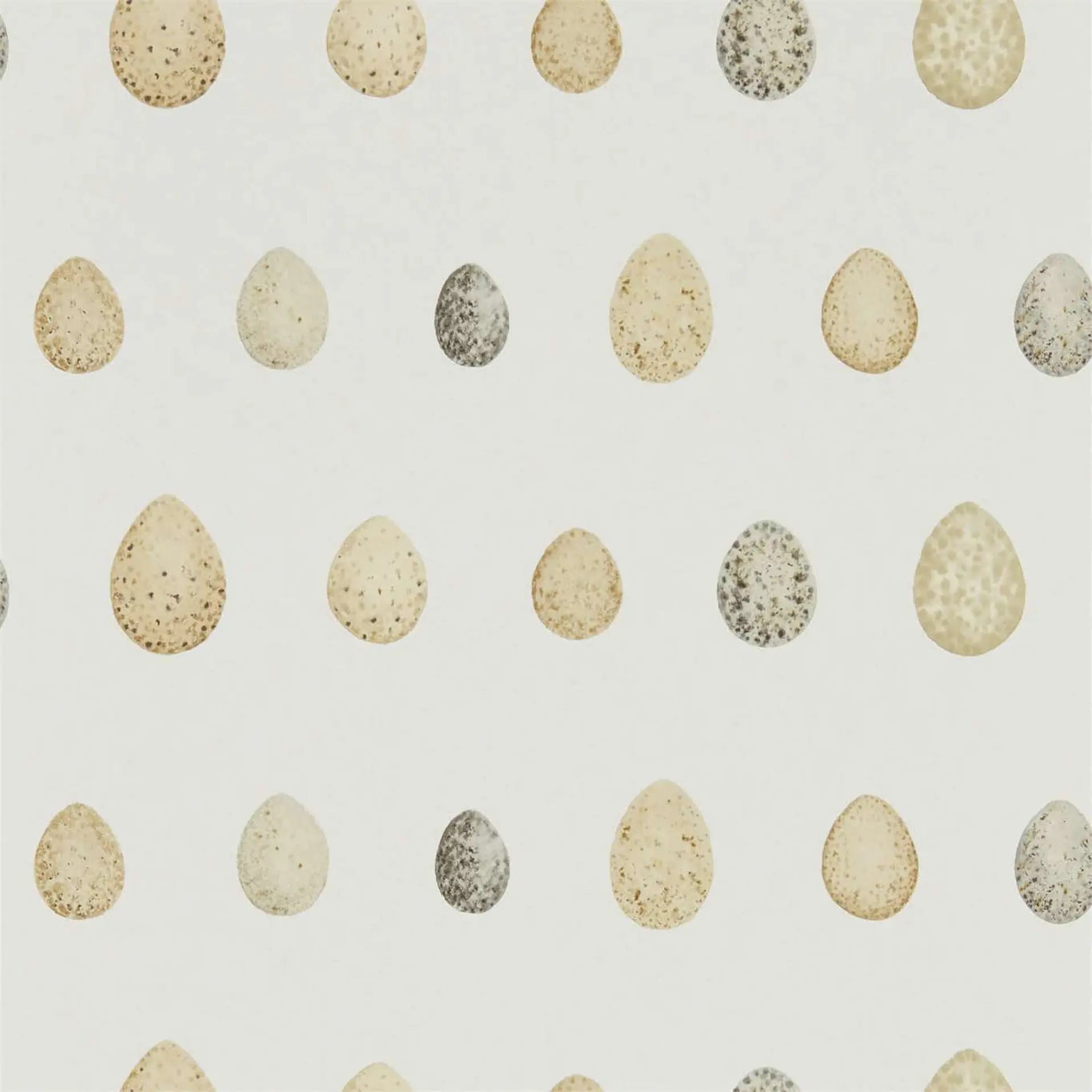 Pattern of speckled eggs on a light background