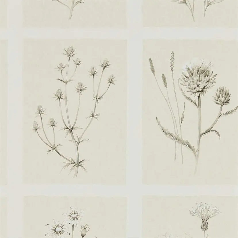 Pattern of botanical illustrations on a beige background
